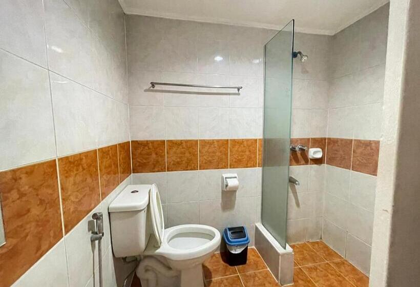 Cameră Deluxe, Town And Country Hotel V Mapa