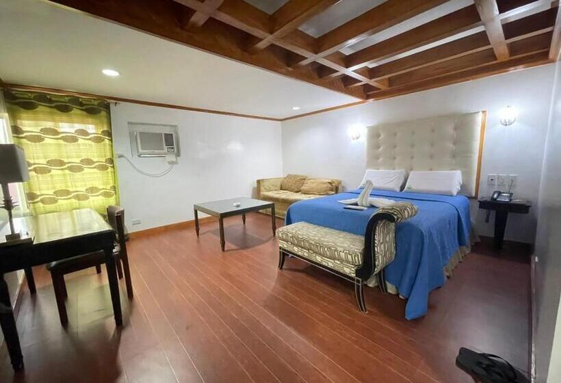 Cameră Standard, Town And Country Hotel V Mapa