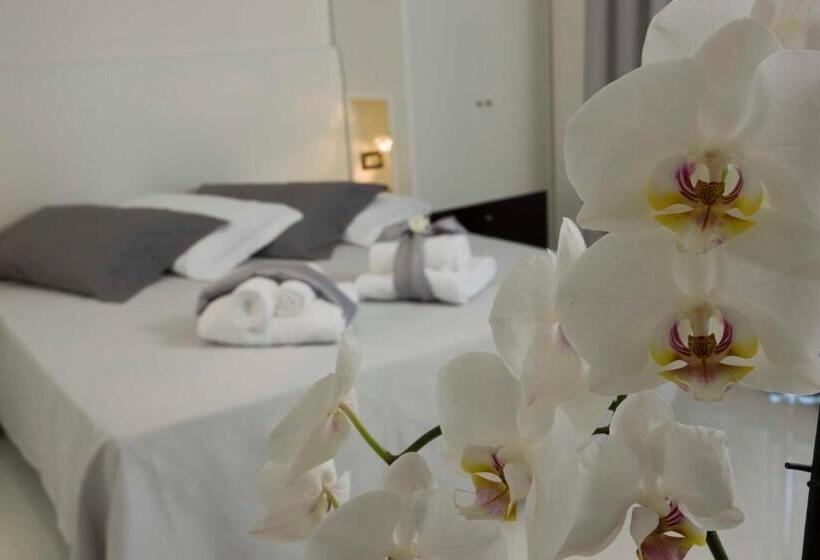 패밀리 스위트, Nord Est