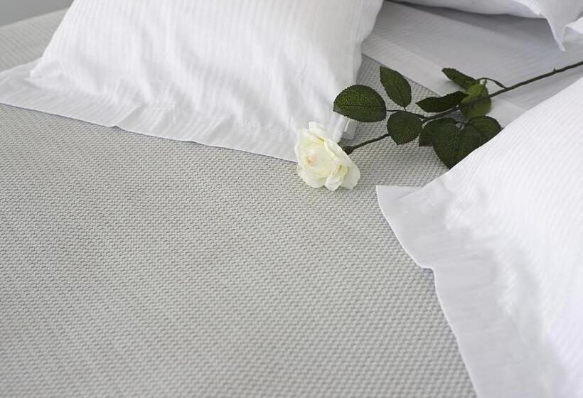 자쿠지 스위트, Nord Est