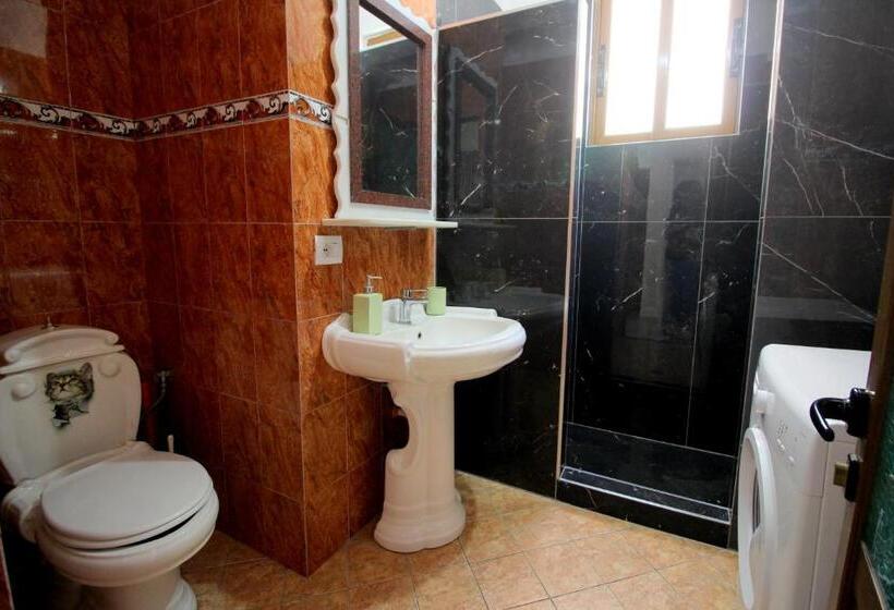 شقة غرفتين, Ortus Rooms