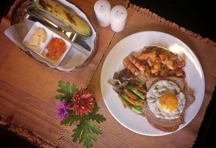 آپارتمان دوبلکس 1 خوابه, Hiranya Guest House