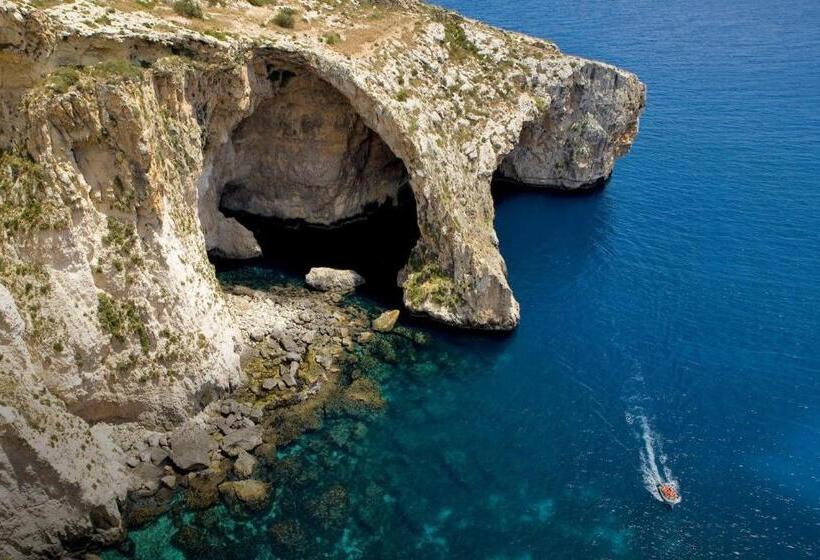 اتاق لوکس, Sunshine Court