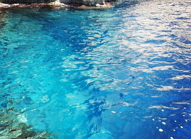 اتاق لوکس, Sunshine Court