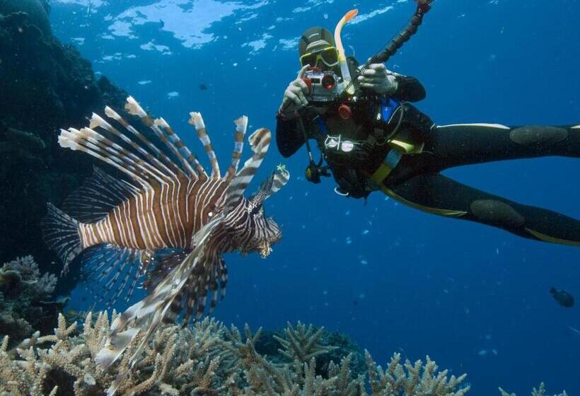 اتاق لوکس, Sunshine Court