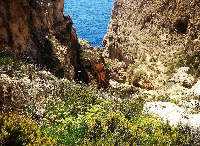 اتاق لوکس, Sunshine Court