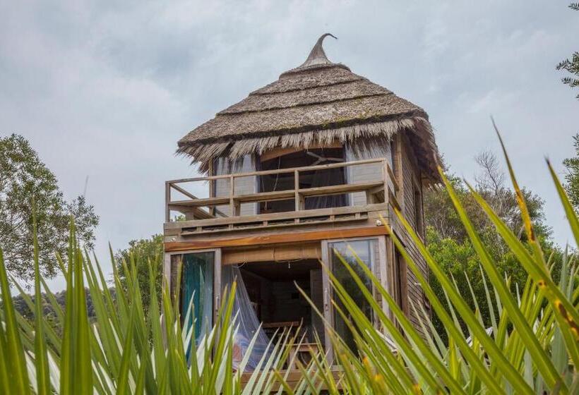 بانگلوی استاندارد, Pueblo Barrancas