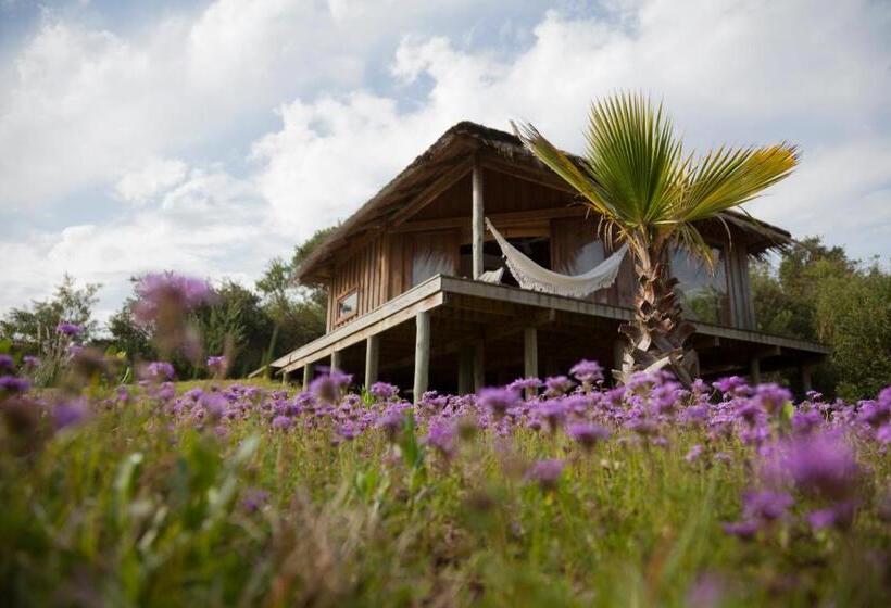 بانگلوی استاندارد, Pueblo Barrancas