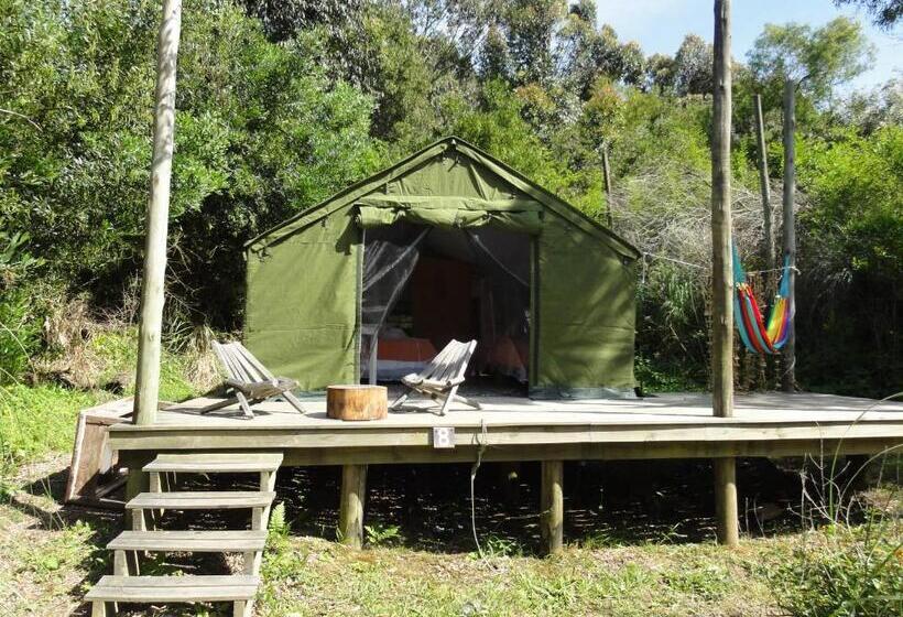 Standard Tent, Pueblo Barrancas