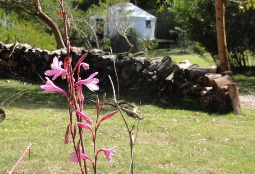 چادر با خدمات رفاهی استاندارد, Pueblo Barrancas