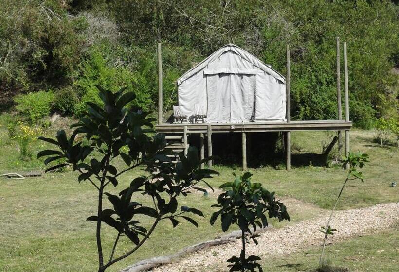 چادر با خدمات رفاهی استاندارد, Pueblo Barrancas