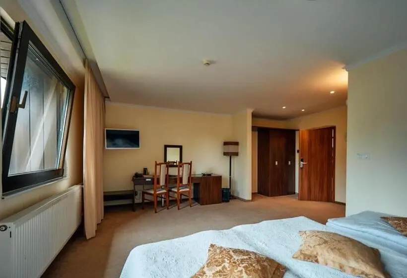 اتاق استاندارد, President Hotel Montfort