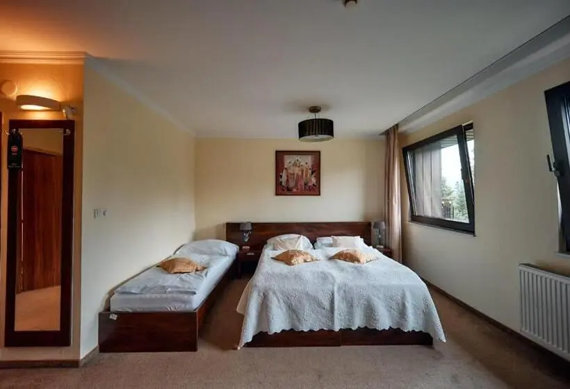 اتاق استاندارد, President Hotel Montfort