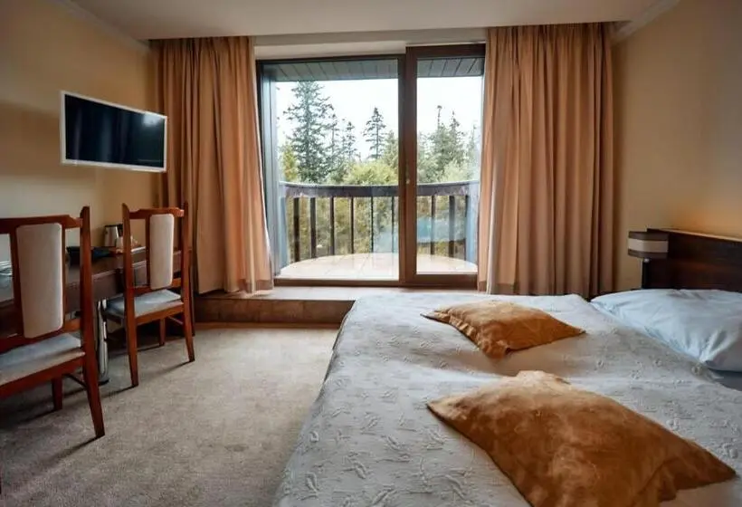 اتاق استاندارد, President Hotel Montfort