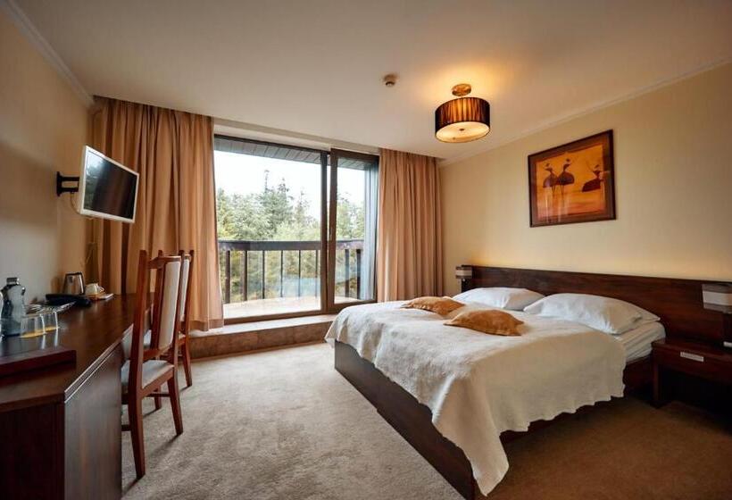 Номер Стандарт, President Hotel Montfort