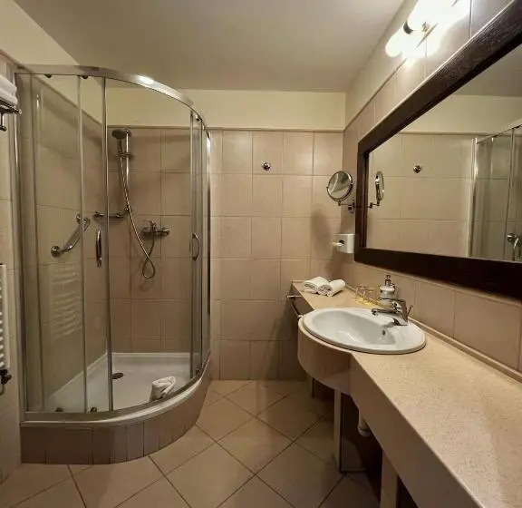 اتاق استاندارد, President Hotel Montfort