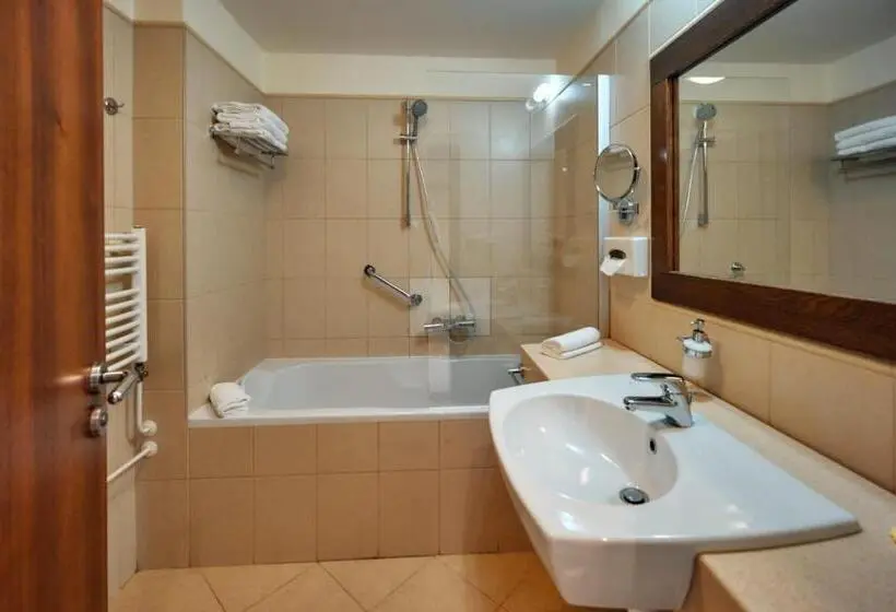 اتاق استاندارد, President Hotel Montfort