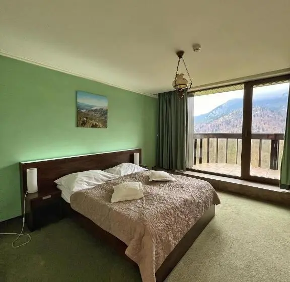 اتاق استاندارد با چشمانداز کوهستان, President Hotel Montfort