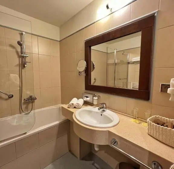اتاق استاندارد با چشمانداز کوهستان, President Hotel Montfort