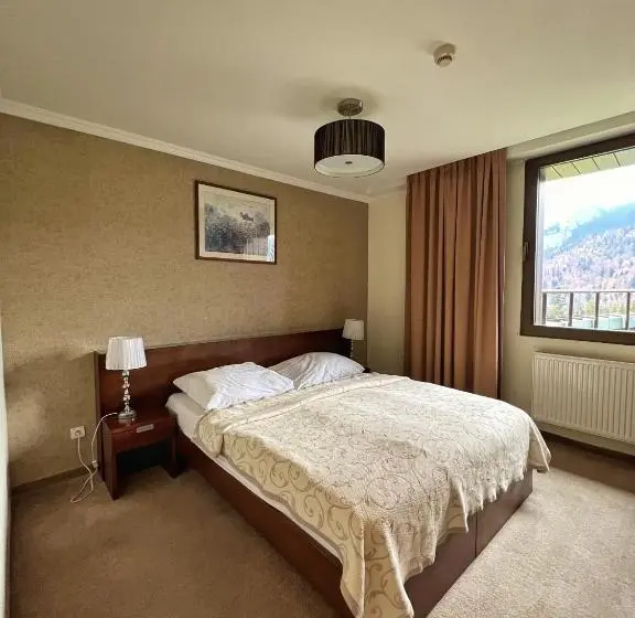 اتاق استاندارد با چشمانداز کوهستان, President Hotel Montfort