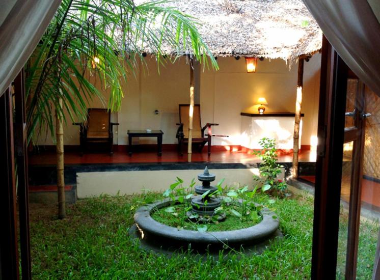 جناح جونيور, Les 3 Elephants