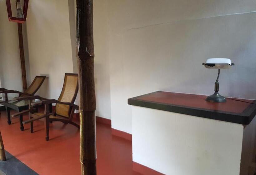 주니어 스위트, Les 3 Elephants