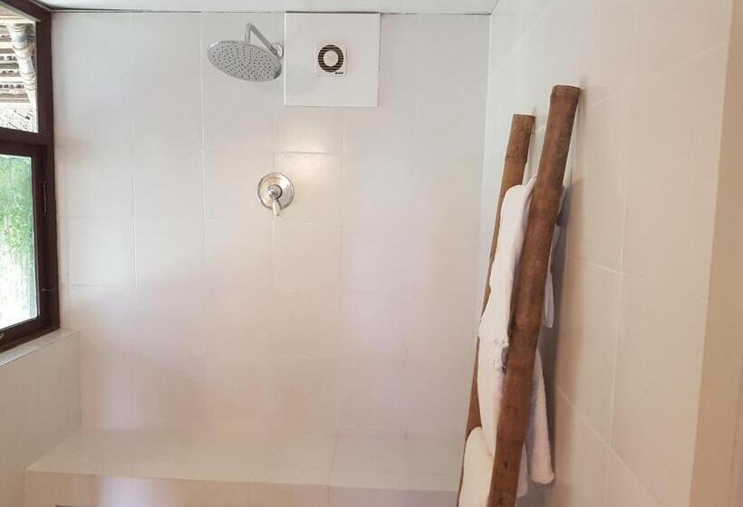 جناح جونيور, Les 3 Elephants