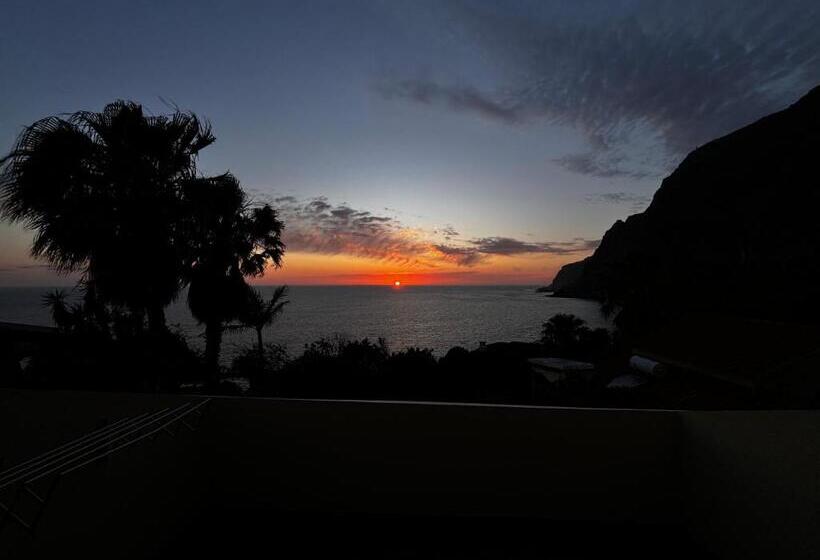 اتاق خانوادگی, Bela Vigia