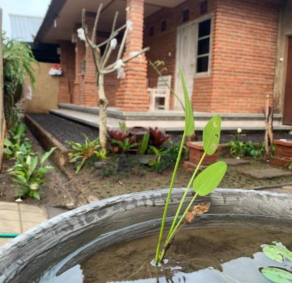 חדר סטנדרט, Ambara Guest House