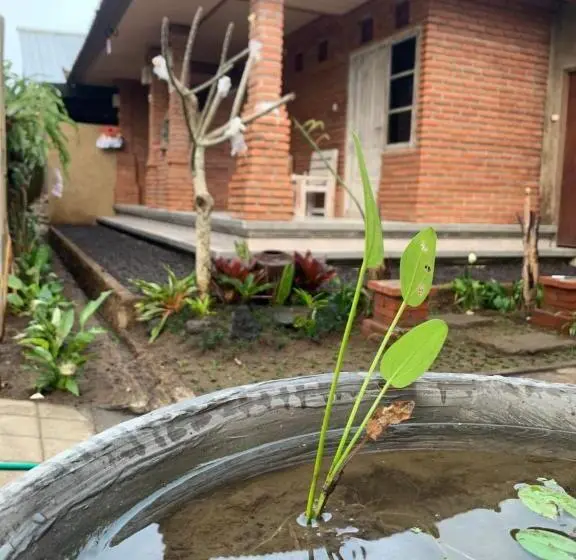 スタンダードルーム, Ambara Guest House