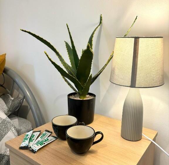 스탠다드 싱글 룸, Croft House