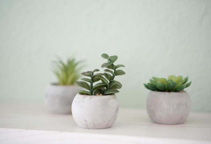 マウンテンビュースタンダードルーム, B&b Mont Crosin