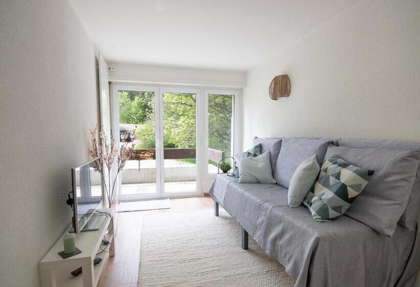 带1个卧室的带阳台的公寓, B&b Mont Crosin