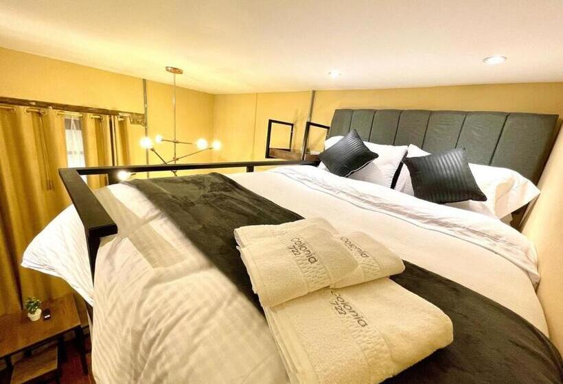 استودیوی استاندارد, Colonia Suites 722