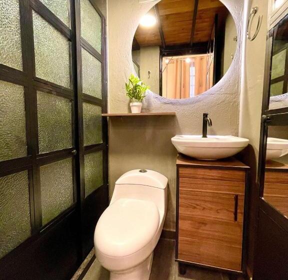 استودیوی استاندارد, Colonia Suites 722