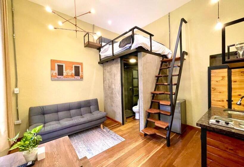 استودیوی استاندارد, Colonia Suites 722