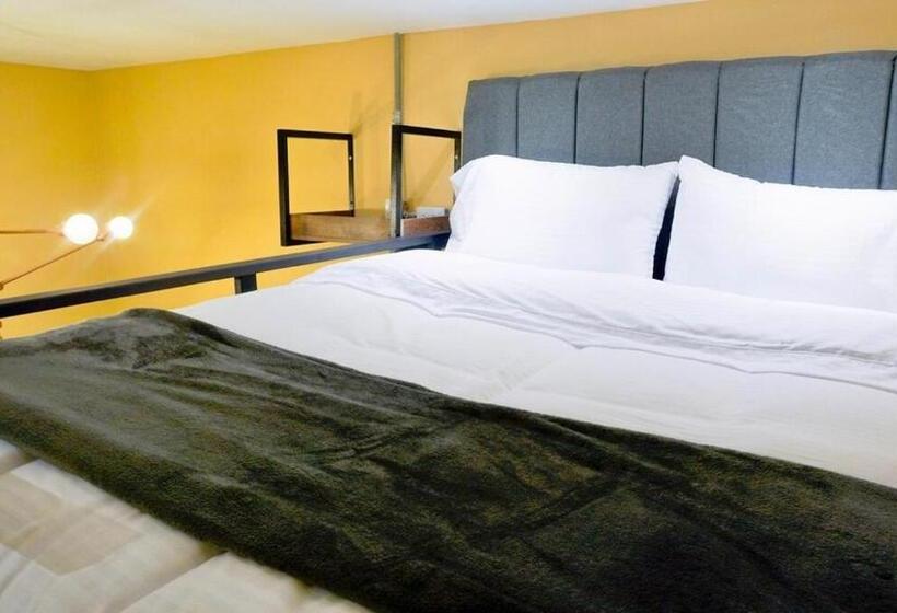 استودیوی استاندارد, Colonia Suites 722