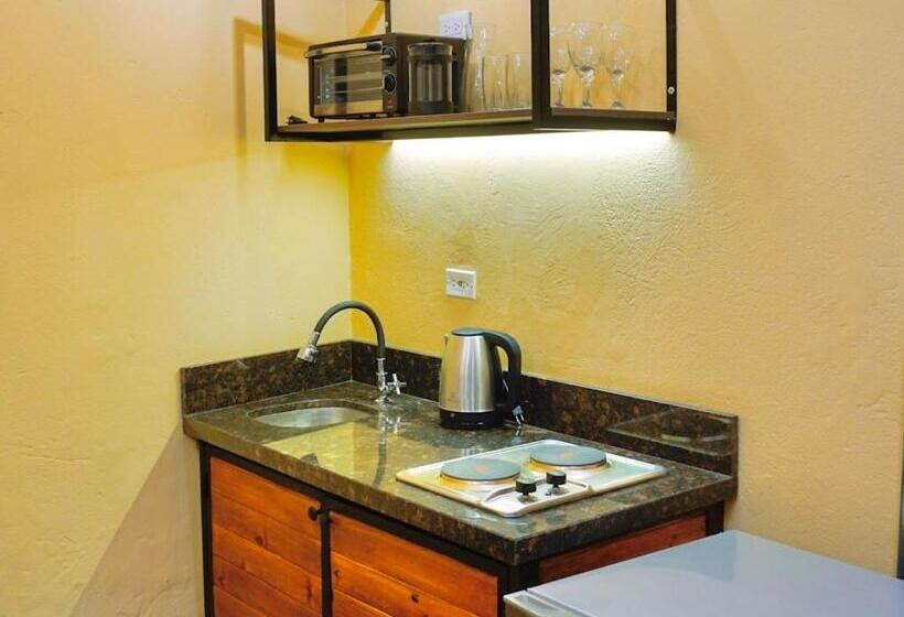 آپارتمان سوپریور 1 خوابه, Colonia Suites 722