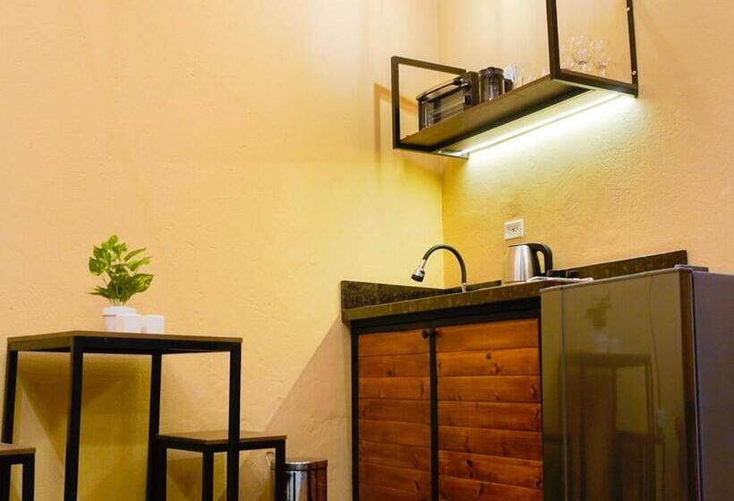 آپارتمان سوپریور 1 خوابه, Colonia Suites 722