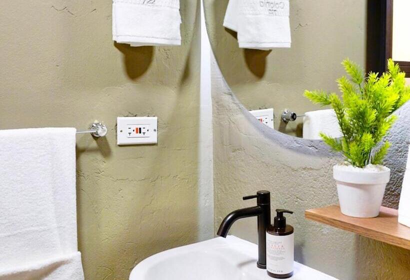 آپارتمان سوپریور 1 خوابه, Colonia Suites 722