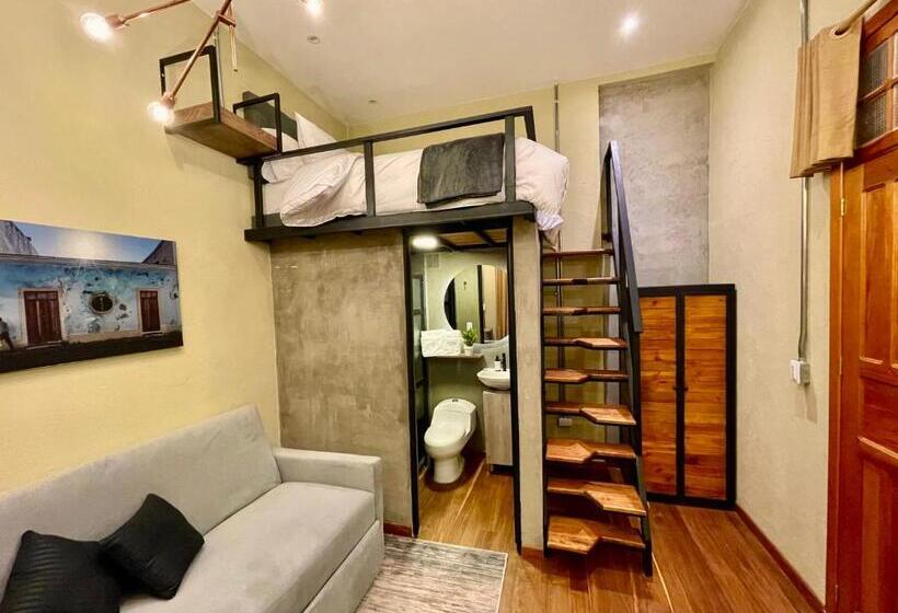 استودیوی استاندارد با تخت دوبل, Colonia Suites 722