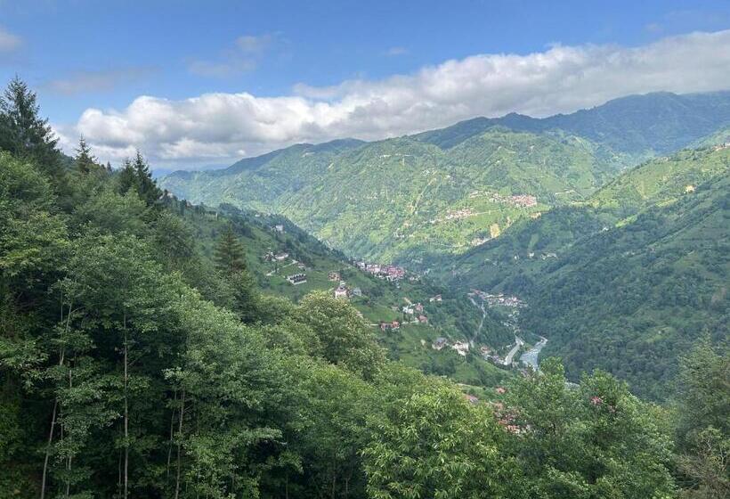 スタンダード４人部屋, Alfa Dağevleri