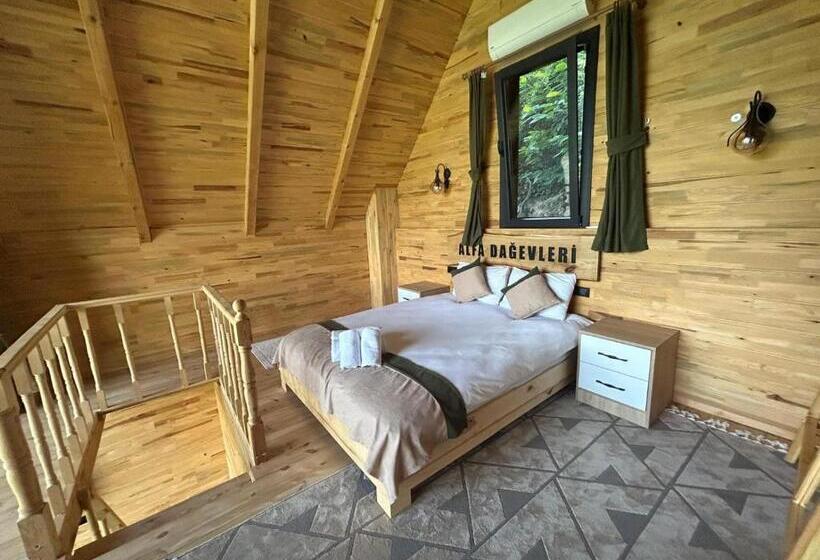 スタンダードルーム, Alfa Dağevleri
