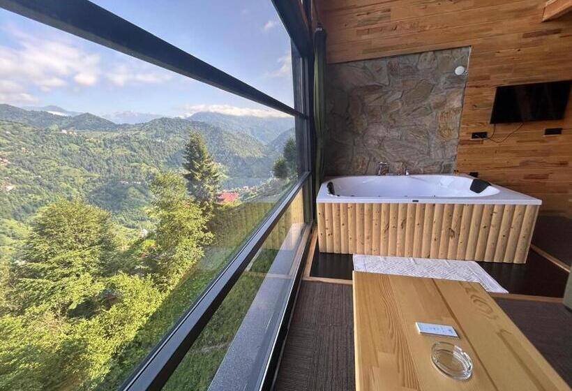 スタンダードルーム, Alfa Dağevleri