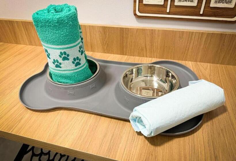 スタンダードシングルルーム, São José