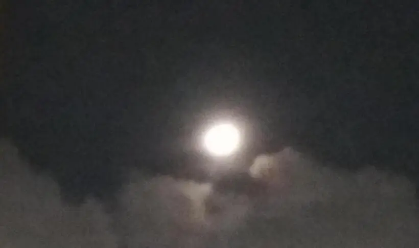 اتاق استاندارد سه نفره, العجمي 21