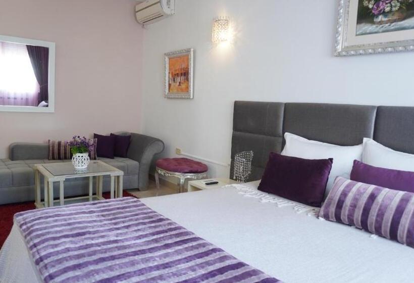 اتاق استاندارد, Dar Khereddine