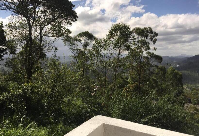 豪华三人间, Polo Region Rest Inn