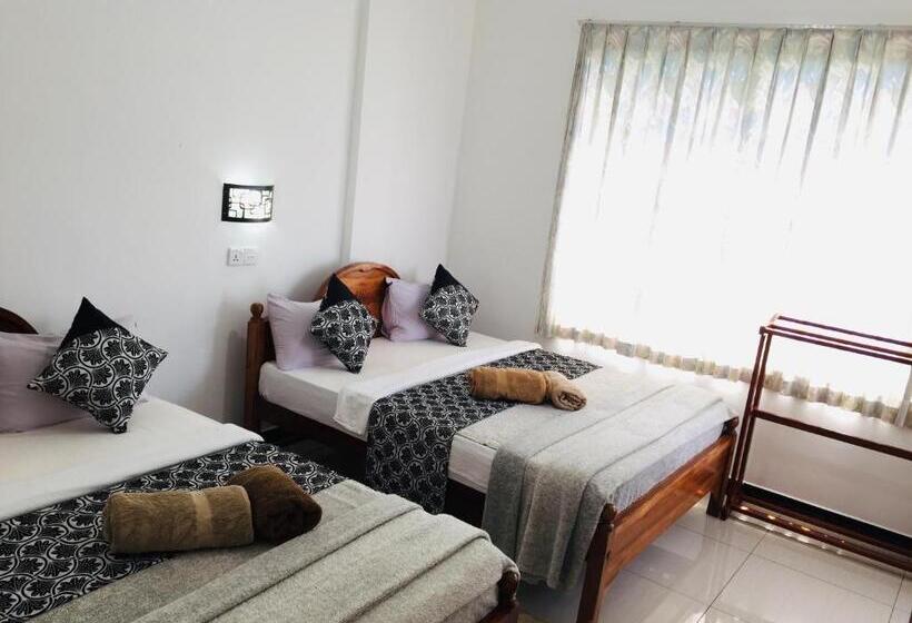 豪华三人间, Polo Region Rest Inn