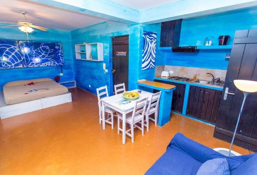 スタンダードスタジオ, Surfactivity Guest House